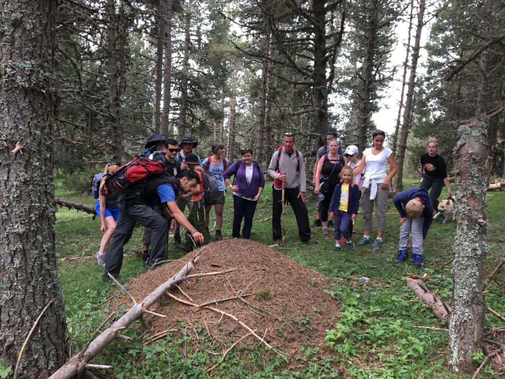 randonnée pédestre Découverte nature forêt d'Egat Pyrénées Orientales