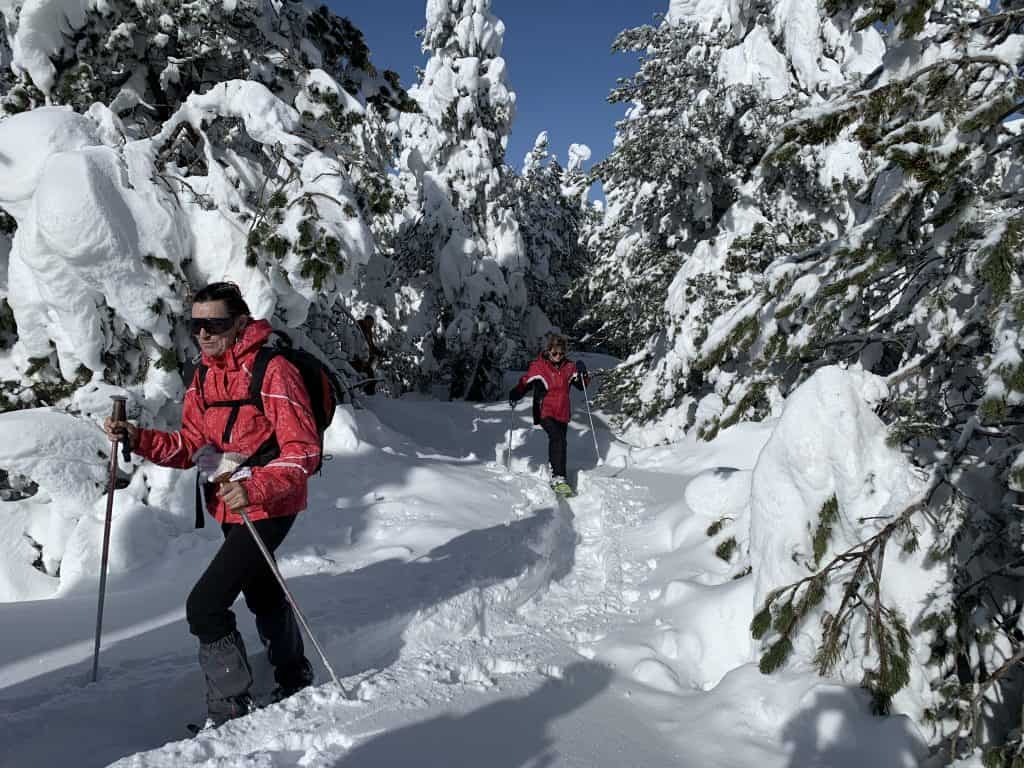 randonnée raquettes journée avec un professionnel de la montagne pyrénées orientales