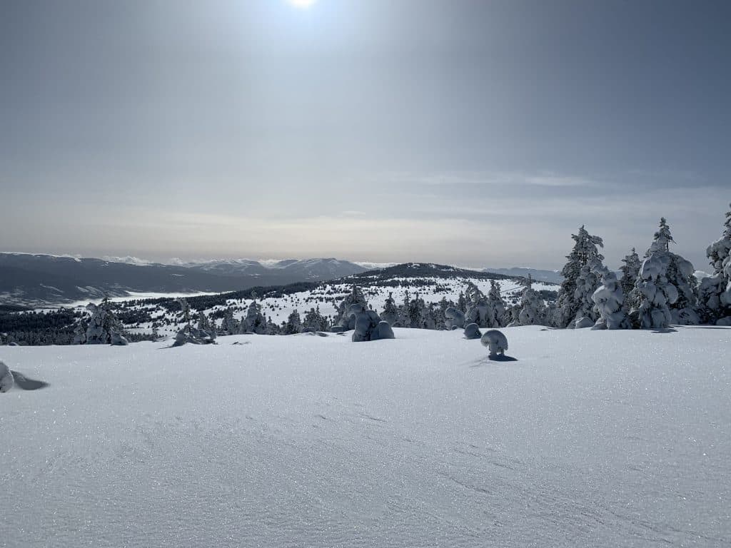 randonnées raquettes accompagnées