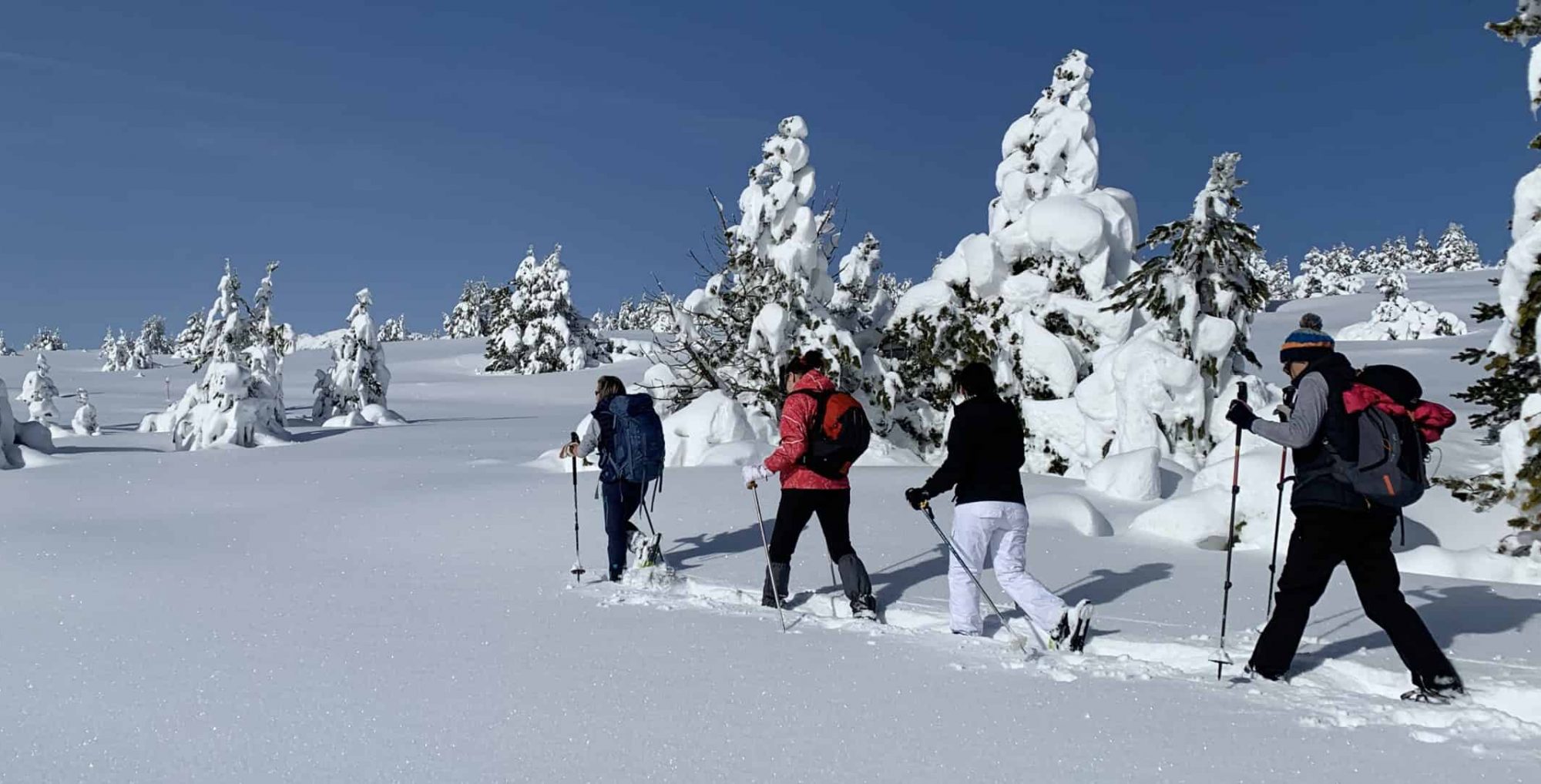 randonnée raquettes Font-Romeu Pyrénées Orientales